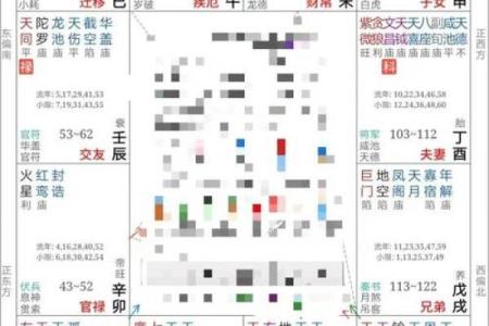 蓝天辰紫薇斗数案例