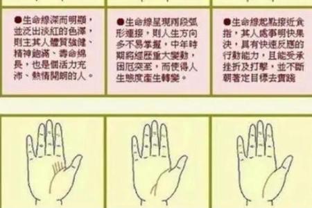 看手相算命图解：指纹