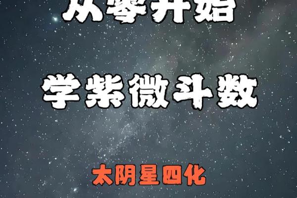 太阴星在斗数中的含义