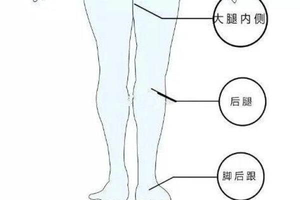 腿上不同位置的胎记算命 腿上不同位置的胎记算命
