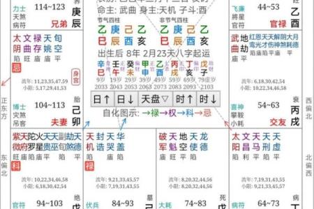 紫微斗数自由 紫微斗数论断？