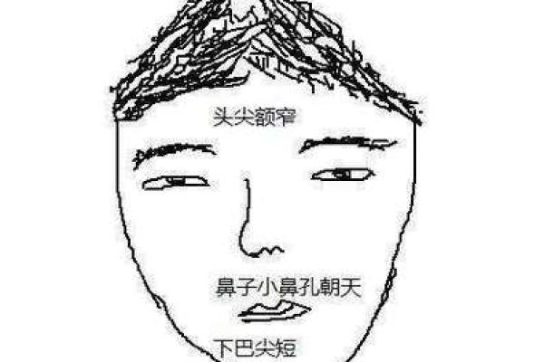 头发算命,头发向前倒的人的面相分析