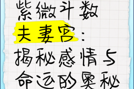 紫微斗数夫妻宫在亥无主星 加桃花主配偶有艺术才能