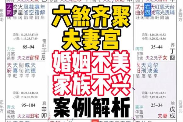 夫妻紫薇天府星