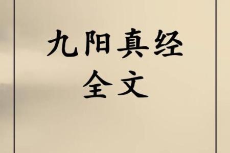 风水阴阳_十六字阴阳风水秘术一书是真的还是假的