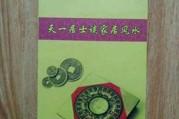 麦玲玲谈紫薇斗数