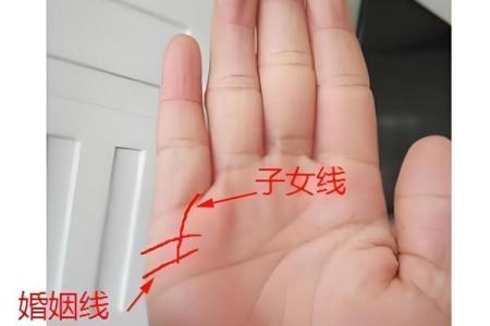 免费算命一生有几个孩子,子女线要怎么看