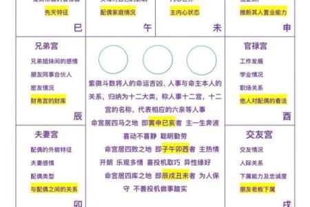 紫微斗数诸星落诸宫之：迁移宫