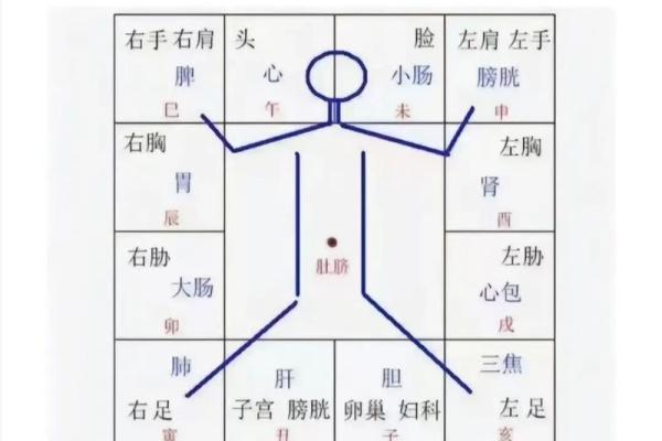 紫薇斗数身宫财帛