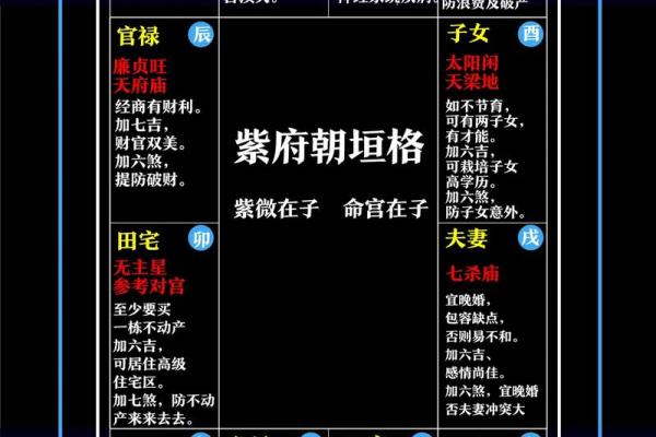 紫薇斗数详解软件 紫薇斗数详解软件