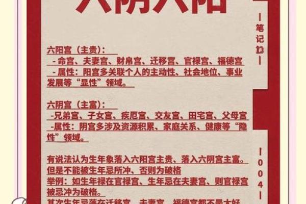 紫薇斗数阴阳属性 紫薇斗数阴阳属性