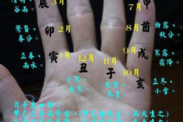 指纹算命,十个斗手指纹算命图解 指纹算命,十个斗手指纹算命图解