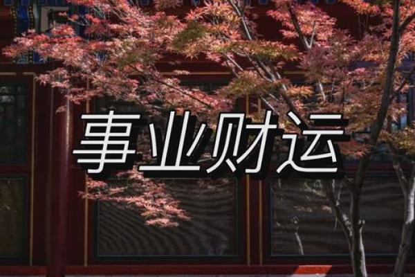 紫薇斗数看暴富 紫薇斗数看暴富