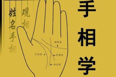 指纹算命,十个斗手指纹算命图解