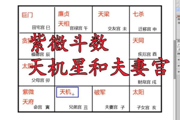 紫薇斗数化禄在夫妻宫 紫薇斗数化禄在夫妻宫