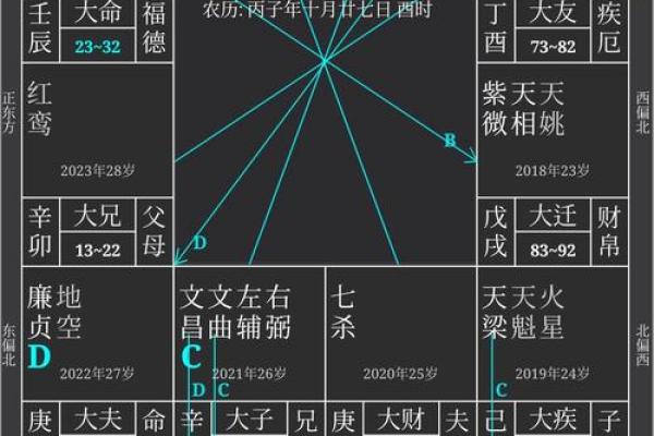 文墨天际紫薇斗数 文墨天际紫薇斗数