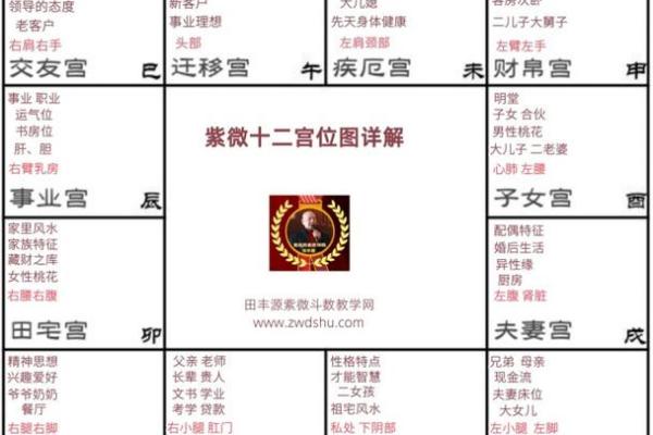 紫薇斗数流年事业运势 紫薇斗数流年事业运势