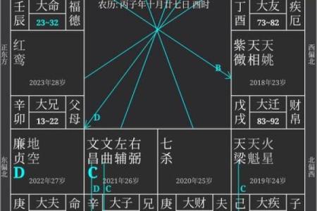 文墨天际紫薇斗数