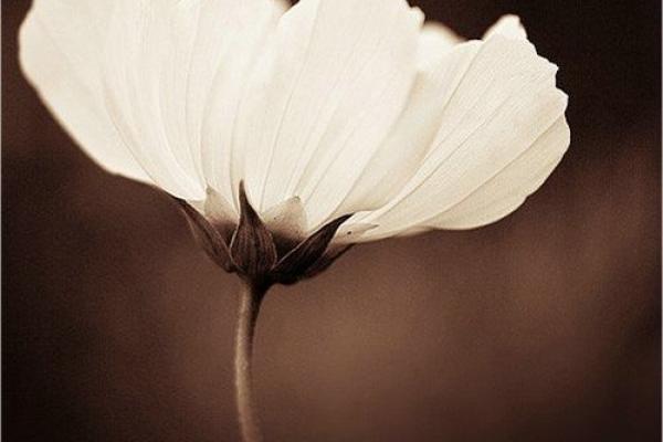 梦见老人佛滔算命 梦见老人佛滔算命