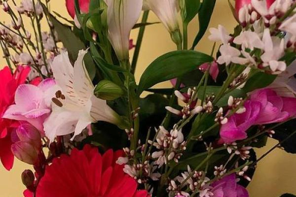 假花摆放在房屋里哪里不会影响到风水呢