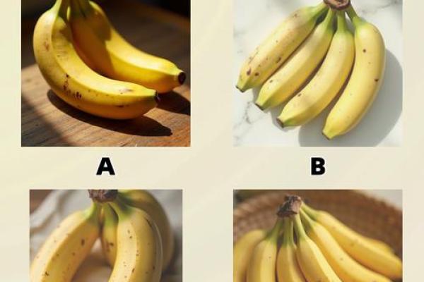 神准测试--测测看！八月你走什么运？