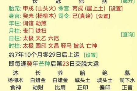 八字里的地支怎么论财官印