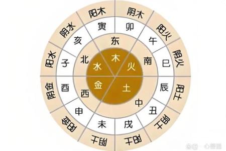 八字详解与人争夫，揭开婚姻关系迷局