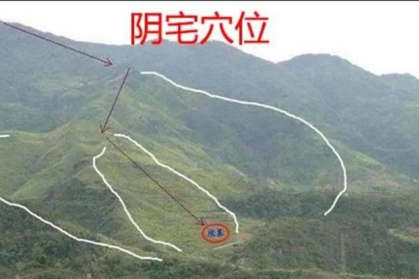 揭秘最好的风水墓地有哪些标准 揭秘最好的风水墓地有哪些标准