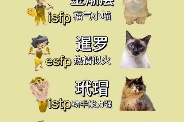 16种人格测试最稀有人格