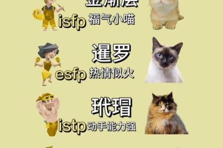 16种人格测试最稀有人格