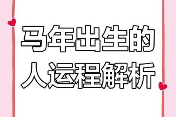 2014年属马男孩的学业 2014年属马男孩学业运势解析助力学业腾飞 2014年属马男孩的学业 2014年属马男孩学业运势解析助力学业腾飞