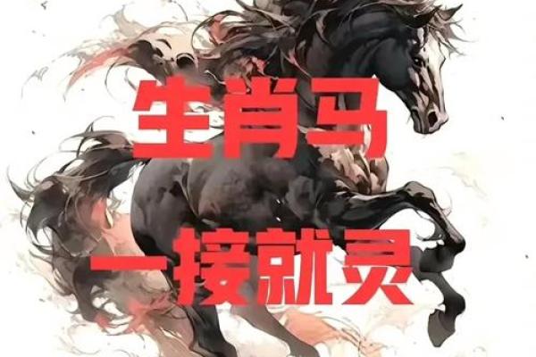 1978年2月初七出生属马人的命运 1978年农历二月初七马年生人一生命运解析 1978年2月初七出生属马人的命运 1978年农历二月初七马年生人一生命运解析