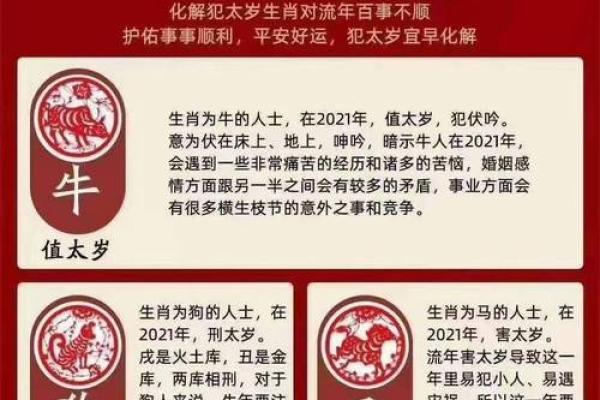 属马的犯太岁年份有哪些 属马的人犯太岁怎么化解 属马的犯太岁年份有哪些 属马的人犯太岁怎么化解