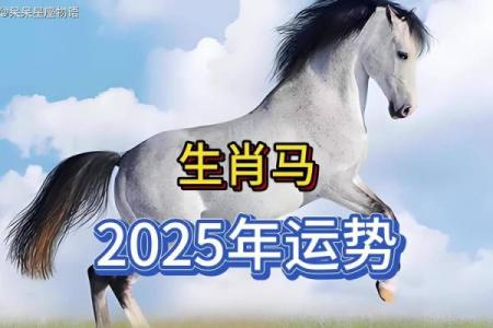 属马的2025穿什么颜色好_2025年属马穿什么颜色好幸运色穿搭助运指南