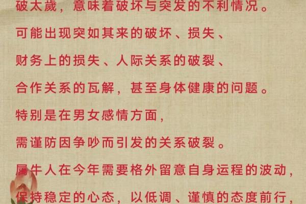 2024属龙每月运势运程详解 2024年属龙逐月运势详解全年十二个月运程完整解析