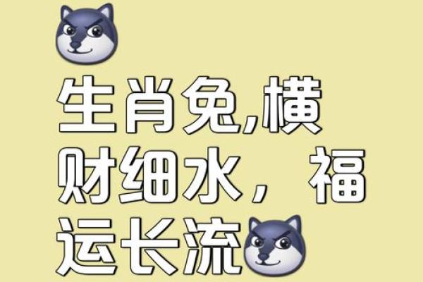 属兔和属马的合作财运怎么样_属兔和属马合作生财好不好