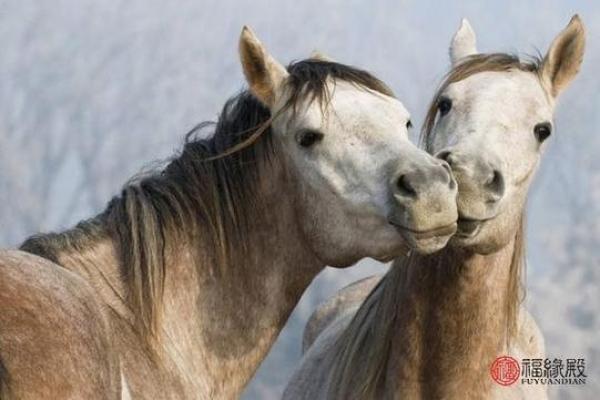 1990年属马女一生命运解析运势走向与婚姻事业全揭秘 1990年属马女一生命运解析运势走向与婚姻事业全揭秘