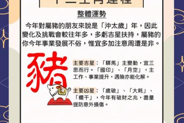 生肖马2025年 生肖马2025年运势全解析事业财运健康运程预测