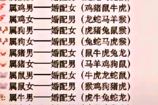 2002年属马的男孩最佳婚配_02属马的婚配大忌