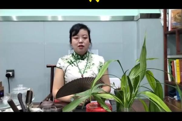 属马的2025年多大年龄_25年属狗多大岁数