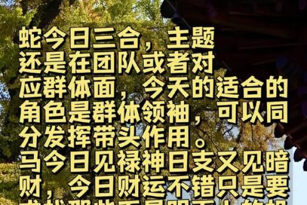 1979年属马2025年运势及运程详解_1979年属马人2025年运势解析及全年运程完整指南 1979年属马2025年运势及运程详解_1979年属马人2025年运势解析及全年运程完整指南