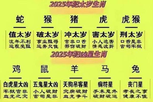2025生肖马全年运程详解运势走向与注意事项必看 2025生肖马全年运程详解运势走向与注意事项必看