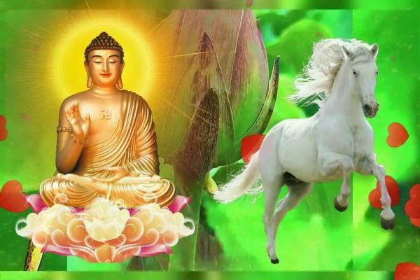 2002年属马的男生适合什么时候结婚_2002年属马男最佳结婚年龄解析与年份建议