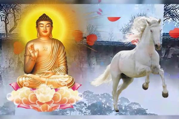 1966年7月属马的是什么命 66年7月属马人的命运