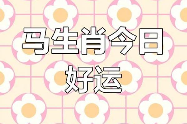 属马人运程 2024属马人运程详解事业财运健康运势全预测