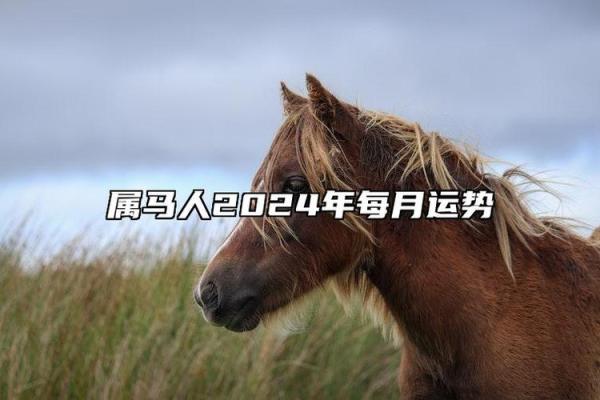属马在2026年本命年运势如何_属马2026年运势及运程详解每月