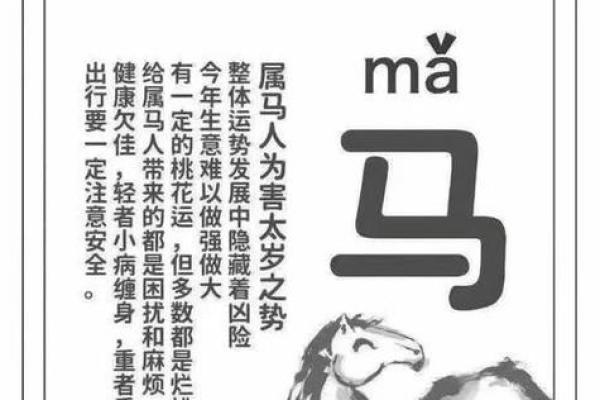 属马人2025年全年运势 1978年_1978年属马人2025年运势详解全年运程吉凶预测