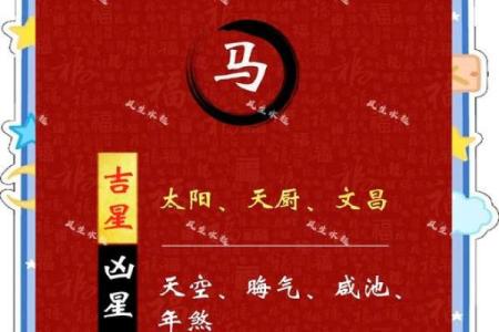 属马多大了今年2025 属马多大了今年多大了