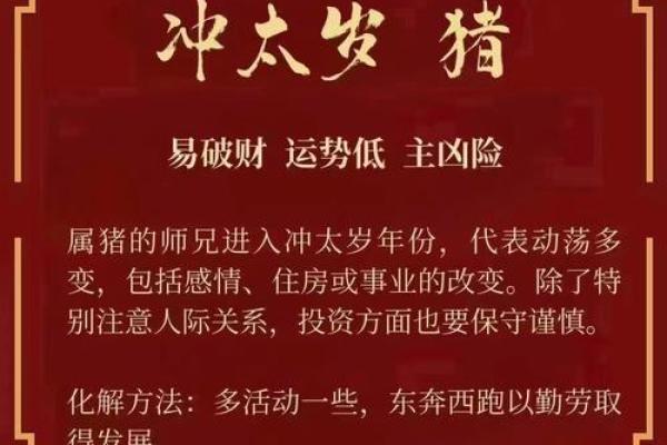 算卦蛇缠牛咬死不放  算命说蛇缠身