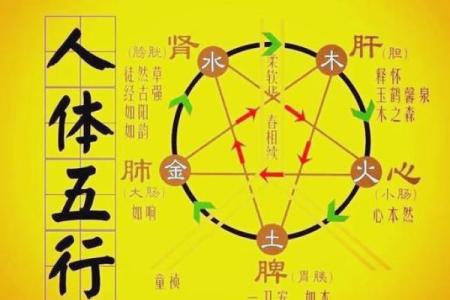八字看健康；和中医的共通之处